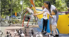  ?? CÉSAR BOLÍVAR ?? Lizbeth Carrillo con su familia alimenta a palomas en el parque Suri Salcedo.