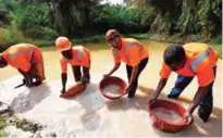  ??  ?? Employees of TMG Tigui Mining Company owned by Tiguidanke Camara (second right) search for gold and other minerals in a sandbank in the forest of Guingouine, a small town in the Logouale locality, near Man, western Ivory Coast. — AFP photos