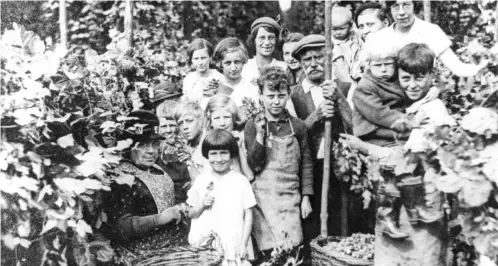  ?? ?? Left, Lyn Heath’s extended family, who came from across Kent, picking hops at Sittingbou­rne in 1936. Her mother, Cynthia Dumbrell (née Oliver), is the little girl with the bob in the centre of the picture, also pictured right as a young woman in her 20s