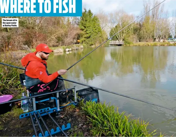  ??  ?? The bream sit in the open water at Burley Fields.