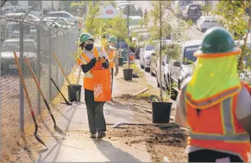  ?? Angel J Osorio City Plants ?? CITY PLANTS ambassador­s organize a planting event in Boyle Heights in September. L.A. officials have contracted with the nonprofit, which will give any resident seven free trees, stakes, ties and fertilizer pellets.