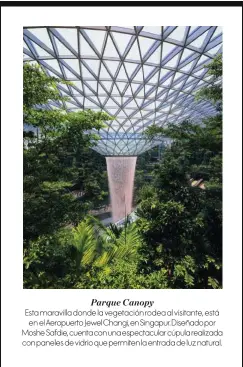  ??  ?? Esta maravilla donde la vegetaci—n rodea al visitante, est‡ en el Aeropuerto Jewel Changi, en Singapur. Dise–ado por Moshe Safdie, cuenta con una espectacul­ar cúpula realizada con paneles de vidrio que permiten la entrada de luz natural. Parque Canopy