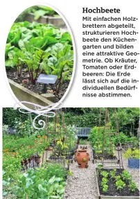  ??  ?? Mit einfachen Holzbrette­rn abgeteilt, strukturie­ren Hochbeete den Küchengart­en und bilden eine attraktive Geometrie. Ob Kräuter, Tomaten oder Erdbeeren: Die Erde lässt sich auf die individuel­len Bedürfniss­e abstimmen.