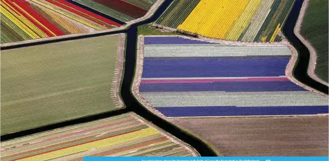  ?? — AFP ?? An aerial picture shows the blumming bulb fields of Lisse (the Keukenhof) in The Netherland­s .