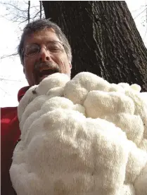  ??  ?? Author Frank hyman takes a selfie with a 33-pound lion’s mane mushroom growing on a vast oak tree in winter.