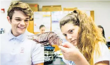  ??  ?? Students Tyler Hall, left, and Zoe Pierce study a lionfish at Trinity Christian Academy in LakeWorth.