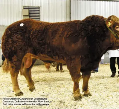  ??  ?? Patsy Creighton, Aughalour, Loughglynn, Castlerea, Co Roscommon with Aloor Lunt, a first prize winner in the senior bull classes