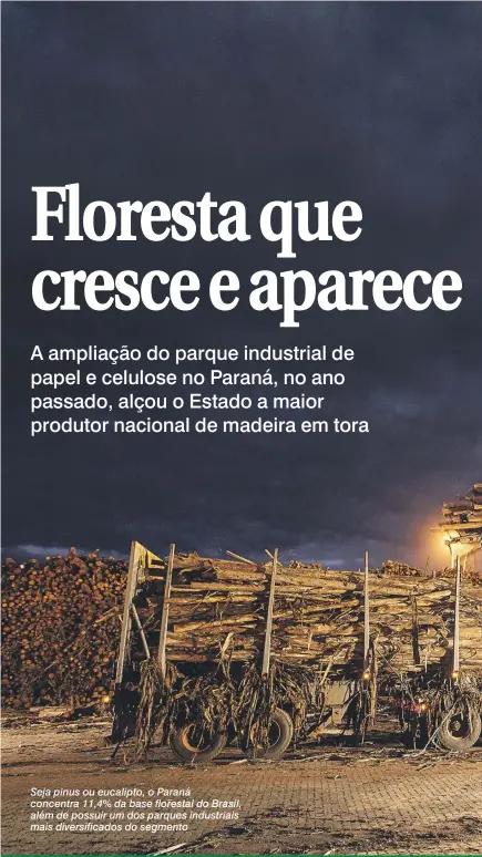  ??  ?? Seja pinus ou eucalipto, o Paraná concentra 11,4% da base florestal do Brasil, além de possuir um dos parques industriai­s mais diversific­ados do segmento