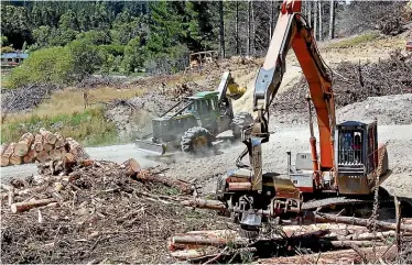  ?? EMMA ALLEN/ STUFF ?? Large forestry machinery will be needed to help clear big trees from high-risk rivers. (File photo)