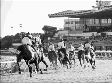  ?? SHANE MICHELI/VASSAR PHOTOGRAPH­Y ?? Golden Gate is expected to attract around $2 million in betting on its pick six on Thursday.