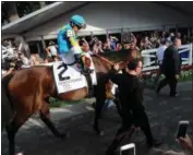  ?? WILL WALDRON—ALBANY TIMES UNION VIA AP ?? Victor Espinoza grabs his stirrups while on American Pharoah out of the paddock before Saturday’s Travers Stakes at Saratoga. Keen Ice won the race.