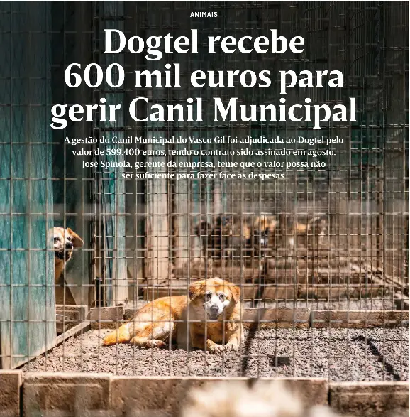Dogtel recebe 600 mil euros para gerir Canil Municipal PressReader