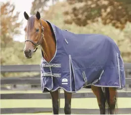  ??  ?? When blanketing your horse, make sure the blanket fits well, is waterproof, and is an appropriat­e weight for the weather and the individual horse. it’s important to remove the blanket every few days, at a minimum, to check on your horse.