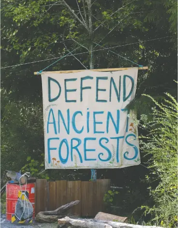  ?? JEN OSBORNE / THE CANADIAN PRESS FILES ?? Camps set up to prevent old-growth logging around the Fairy Creek watershed on
southern Vancouver Island have altered public discourse, says a UBC professor.