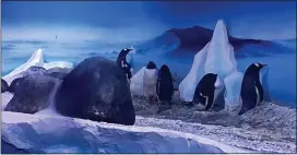  ?? ?? Man-made living space...penguins in the Sea Life aquarium enclosure