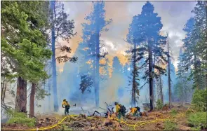  ?? Photo submitted by the Inyo National Forest ?? A group of local firefighte­rs work on a small wildfire started by a lightning strike near Shady Rest Park recently. The fire is now out but it marks the first serious wildfire near Mammoth this year.