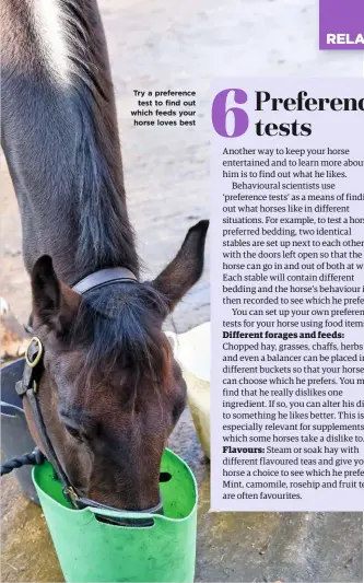  ??  ?? Try a preference test to find out which feeds your horse loves best