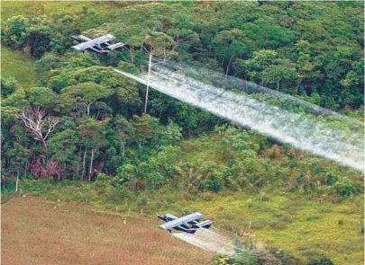  ?? / EFE ?? La Comisión Nacional de Territorio­s Indígenas identificó que en más de 1’133.000 hectáreas se traslapan territorio­s étnicos con áreas que serán fumigadas con glifosato.