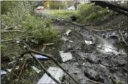  ?? HANS PENNINK — THE ASSOCIATED PRESS ?? Debris scatters an area Sunday at the site of yesterday’s fatal crash Schoharie, N.Y.