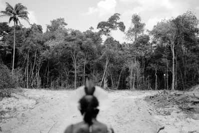  ?? AP PHOTOS ?? Krimej Indigenous Chief Kadjyre Kayapo looks out at a path created by loggers on the border between the Biological Reserve Serra do Cachimbo, front, and Menkragnot­ire indigenous lands, in Altamira, Para state, Brazil, on August 31, 2019. Deforestat­ion detected in the Brazilian Amazon broke all records for the month of April 2022.