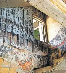  ??  ?? Very often, mold is a sign of something seriously wrong in the home — water damage, which can wreak as much destructio­n as fire, swiftly and silently. [LISALEO/MORGUEFILE]