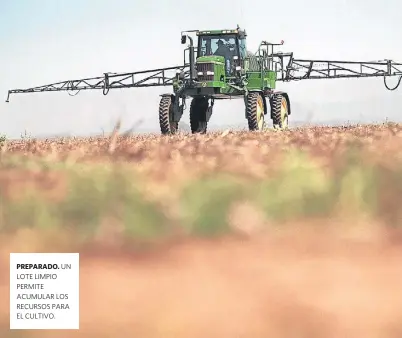  ??  ?? PREPARADO. UN LOTE LIMPIO PERMITE ACUMULAR LOS RECURSOS PARA EL CULTIVO.