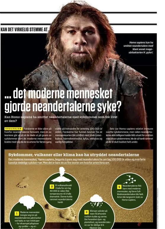  ??  ?? Homo sapiens kan ha smittet neandertal­ere med blant annet magesårbak­terien H. pylori.