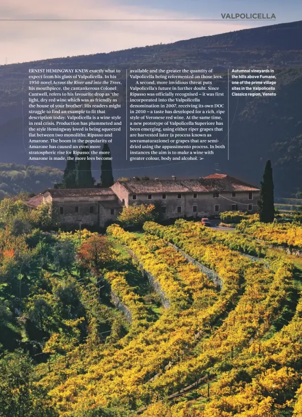  ??  ?? Autumnal vineyards in the hills above Fumane, one of the prime village sites in the Valpolicel­la Classico region, Veneto