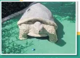  ??  ?? A tortoise sculpture blocks a ball at Putt’n Around in Delray Beach.