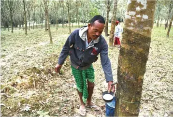  ??  ?? The local rubber sector was also facing a challengin­g year amid low global prices and declining output due to the rainy season. — Reuters photo