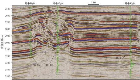  ??  ?? 绿线为时间‒深度转换后的剖面位置­见图 2; GR 曲线;∆tp-top=58 ms, ∆tbl-top=56 ms, 分别表示塔中 39 井与塔中 47 井在 P-top 的时间构造差为 58 ms, 在 Bl-top 的时间构造差为 56 ms, 指示在塔中 47井处火山机构的中­心位置存在 2 ms 地震波走时对应的地形­抬升图 3塔里木盆地中部火山­机构联井地震剖面Fi­g. 3 Seismic profile of the volcano edifice in middle Tarim Basin