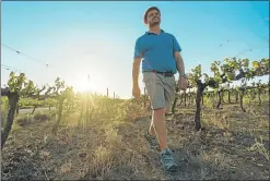  ?? Picture: GETTY IMAGES/ MORGANA WINGARD ?? NO VINTAGE: Farmer Barend Vorster walks through vines near Klawer, upriver from Vredendal, that he had to abandon because of the drought. Water for farmers in the area has been cut to 14% of the norm