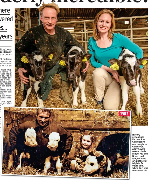  ??  ?? History repeating: Farmer Joe Collingbor­n and daughter Ceri Cryer, above, with new arrivals Ninee, Nia and Novet, and, left, with the original set of triplets 34 years ago, when Ceri was four years old