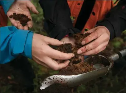  ?? Ed Ou / The New York Times ?? Scientists collect a peat sample from a recent prescribed burn in Red Earth Creek, Alberta, Canada.