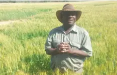  ??  ?? Rtd Major Jinjika in his wheat field.