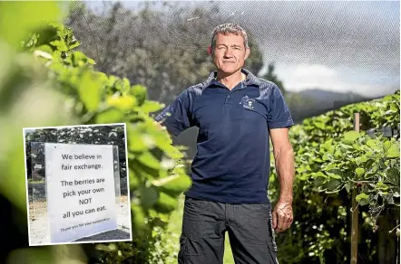  ?? RICKY WILSON/STUFF ?? Berry grower Andrew Bassett has set up a sign (inset) at the Pot Shed in Marlboroug­h asking customers to be courteous when they pick berries.