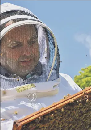  ?? PICTURE: HORWICH HONEY/ SWNS ?? HIVE MIND: Beekeeper Derek Cartwright attended to his bees after selling his stock in record time as people stock up on natural remedies for cold and flu as winter arrives.