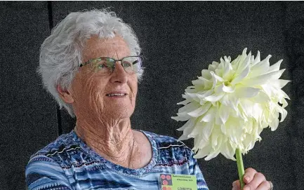  ?? WARWICK SMITH/STUFF ?? Loretta Neilson with her Kea Magic dahlia, which won champion bloom at the North Island national dahlia show at the Feilding Civic Centre at the weekend. Below left, Neilson’s three-headed orange Kea Julie dahlia won the overall prize for best vase. Right, David Barrie, of O¯ piki, with his merit award-winning vase.