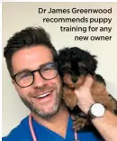  ??  ?? Dr James Greenwood recommends puppy training for any
new owner