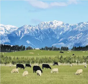  ?? PHOTO: STEPHEN JAQUIERY ?? A matter of time . . . New technologi­es are expected to reduce emissions from the farming sector by up to 30%, but there is a lot of uncertaint­y as to when.