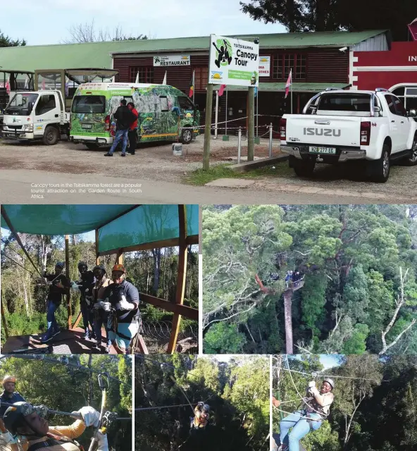  ??  ?? Canopy tours in the Tsitsikamm­a forest are a popular tourist attraction on the Garden Route in South Africa.