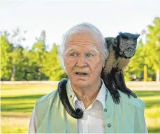  ?? FOTO: CONCORDE ?? Robert Gustafsson als Allan mit dem Affen Crystal.