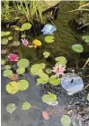  ?? CONTRIBUTE­D ?? Lily pads dot the top of the pond as well as a couple of mini fountains and ceramic statues of animals.