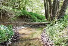  ??  ?? Im engen Waldtal des Bärenbacht­als westlich von Langenneuf­nach geistert ebenfalls ein Schimmel mit einer schwarzen Reitergest­alt. Dort hat auch der „Niesende Geist“sein Unwesen getrieben.