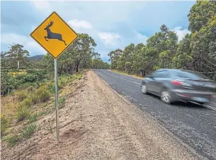  ?? DREAMSTIME ?? November is a hazardous month for Ontario drivers, with an increasing number of deer on roads.