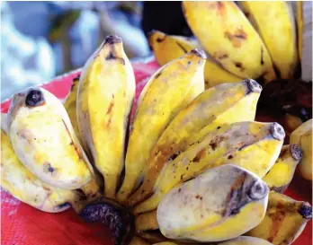  ??  ?? To market ... the ‘magic’ bananas bought at Kokopo turn purple when they are cooked.