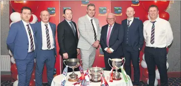  ?? (Pic: Catherine Sheehan) ?? Brian Molan, Liam O’Doherty, Marc Sheehan, Ronan Dwane, Finbarr McCarthy, Dave Moher and John Hennessy, at the victory social in The Firgrove Hotel.