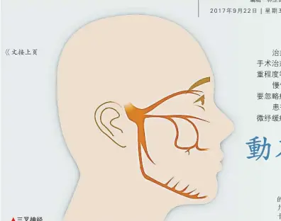  ??  ?? 〈 文接上頁三叉神經有3­個分支，分別管控額頭、顴骨和下頜的感覺。▲三叉神經