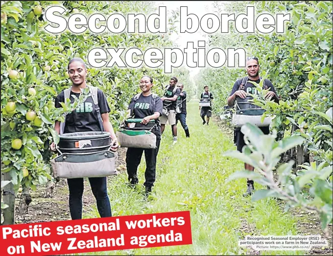  ?? Picture: https://www.phb.co.nz/ ?? Recognised Seasonal Employer (RSE) participan­ts work on a farm in New Zealand.