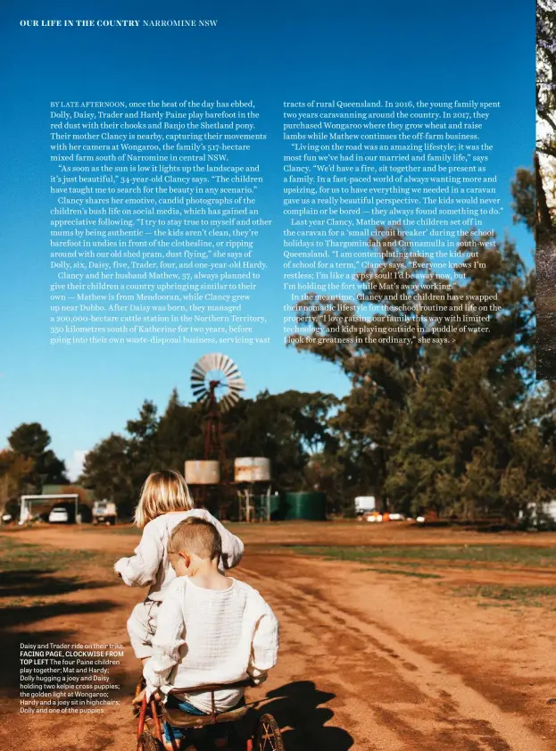  ??  ?? Daisy and Trader ride on their trike. FACING PAGE, CLOCKWISE FROM TOP LEFT The four Paine children play together; Mat and Hardy; Dolly hugging a joey and Daisy holding two kelpie cross puppies; the golden light at Wongaroo; Hardy and a joey sit in highchairs; Dolly and one of the puppies.